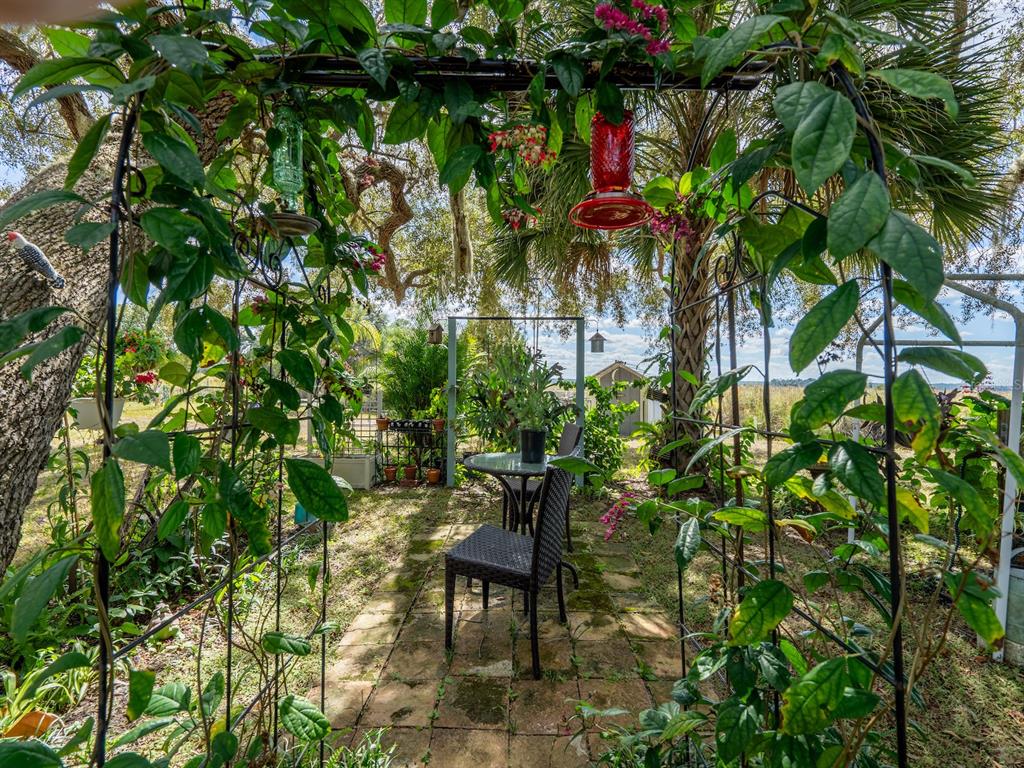 23560 Northeast 154th Place Road Salt Springs, FL 32134 - Photo 34 of 52