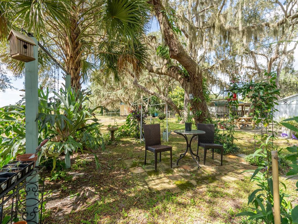 23560 Northeast 154th Place Road Salt Springs, FL 32134 - Photo 35 of 52 a backyard of a house with table and chairs