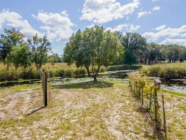 $325,000 | 23560 Northeast 154th Place Road, Salt Springs, FL 32134