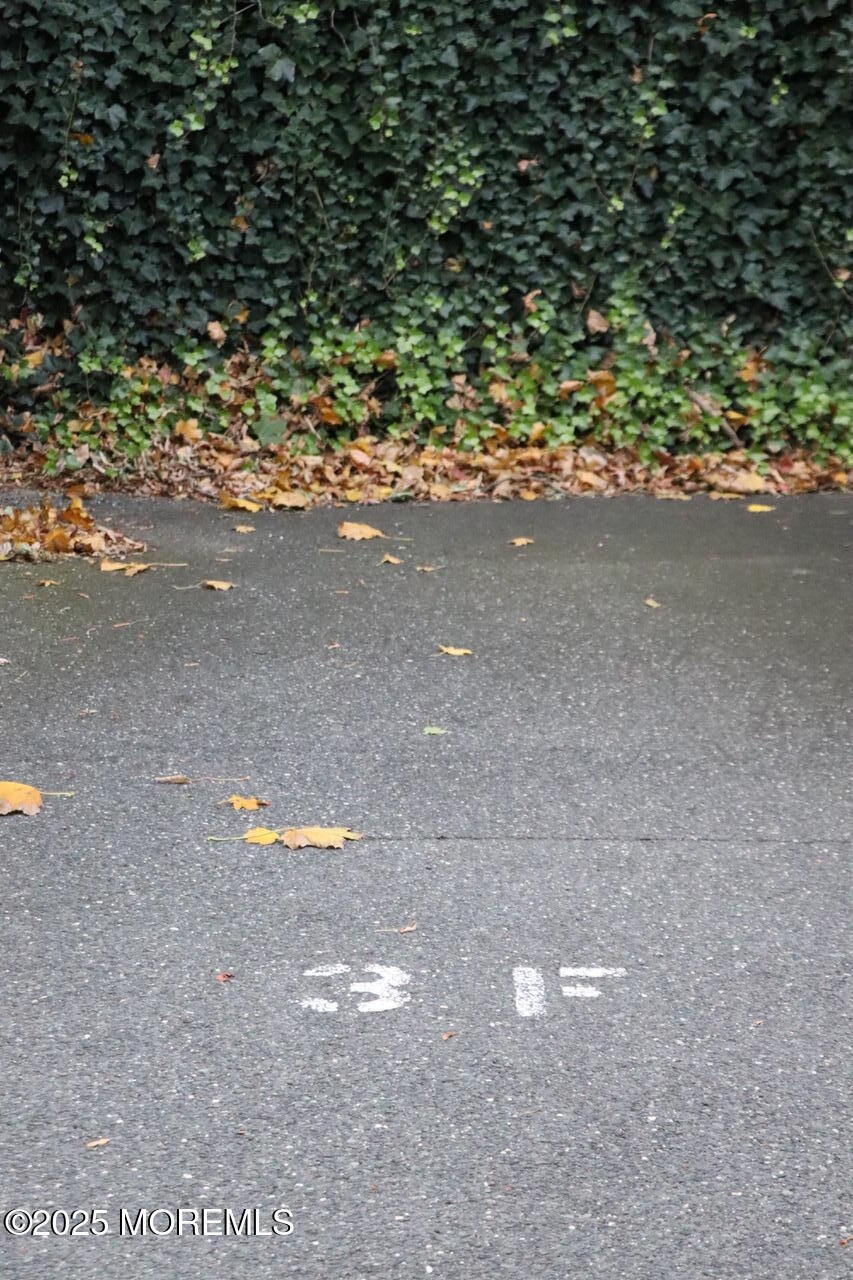 21 Leroy Place, Unit 3F Red Bank, NJ 07701 - Photo 16 of 17 a view of a yard with a tree