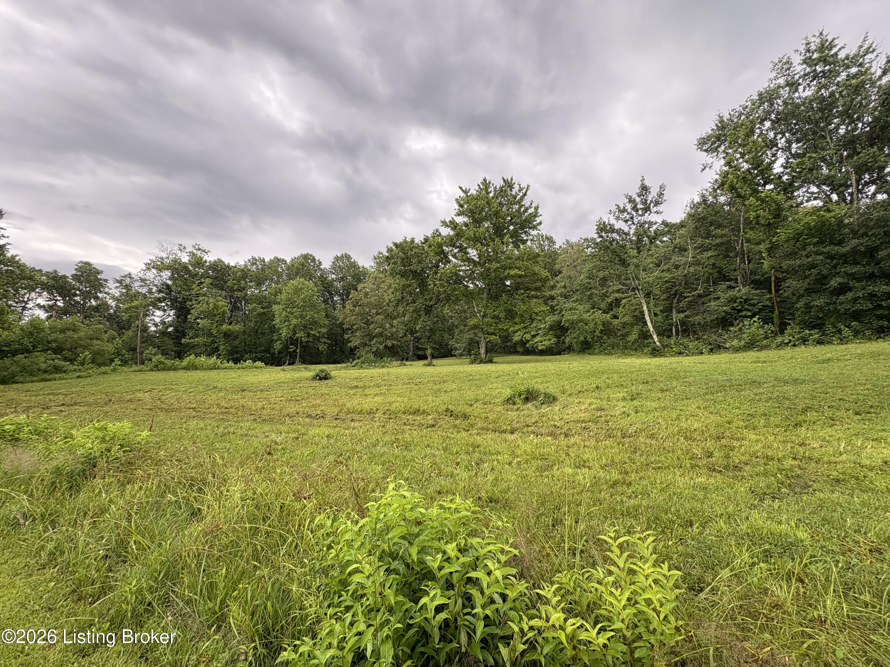 105 John Morris Road Custer, KY 40115 - Photo 20 of 26 IMG_0355