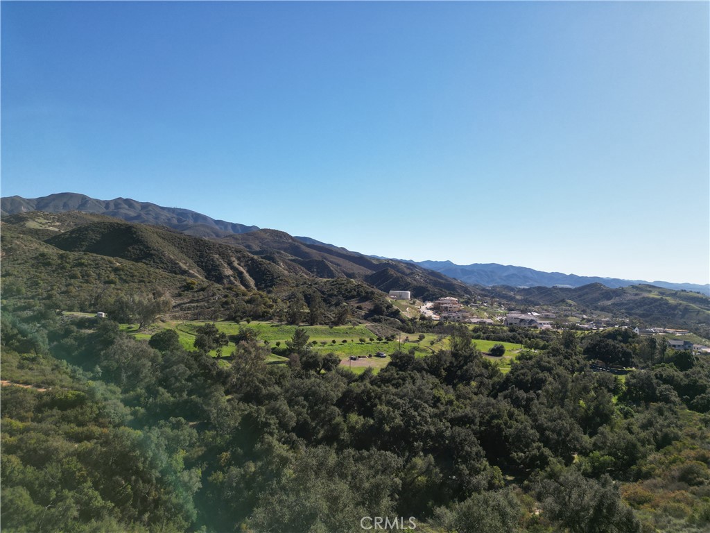 27802 Modjeska Grade Road Silverado, CA 92676 - Photo 3 of 18 a view of a lush green field with mountains in the background