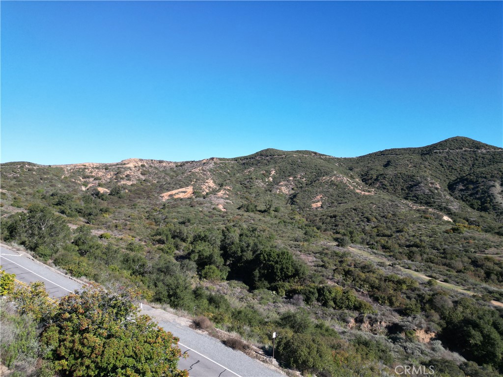 27802 Modjeska Grade Road Silverado, CA 92676 - Photo 5 of 18 a view of a mountain in the distance in a field