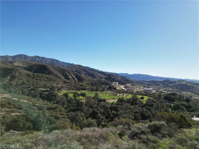 a view of a lush green field with mountains in the background
