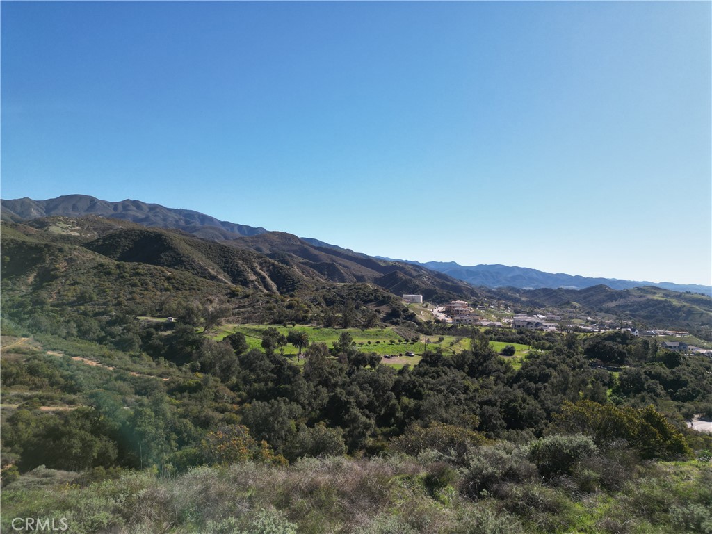 27802 Modjeska Grade Road Silverado, CA 92676 - Photo 7 of 18 a view of a lush green field with mountains in the background