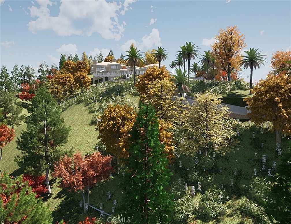 27802 Modjeska Grade Road Silverado, CA 92676 - Photo 9 of 18 a picture of street