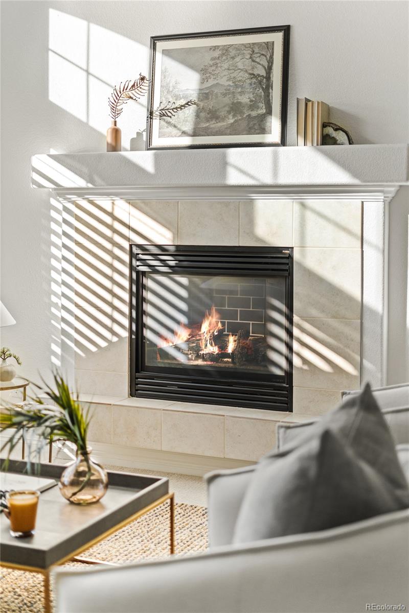 8880 Edinburgh Circle Highlands Ranch, CO 80129 - Photo 17 of 47