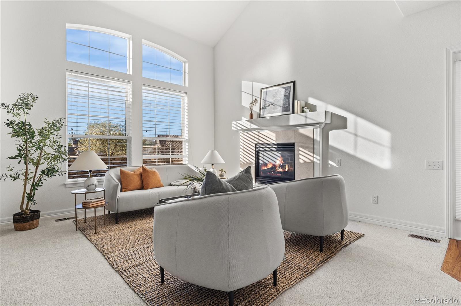 8880 Edinburgh Circle Highlands Ranch, CO 80129 - Photo 3 of 47