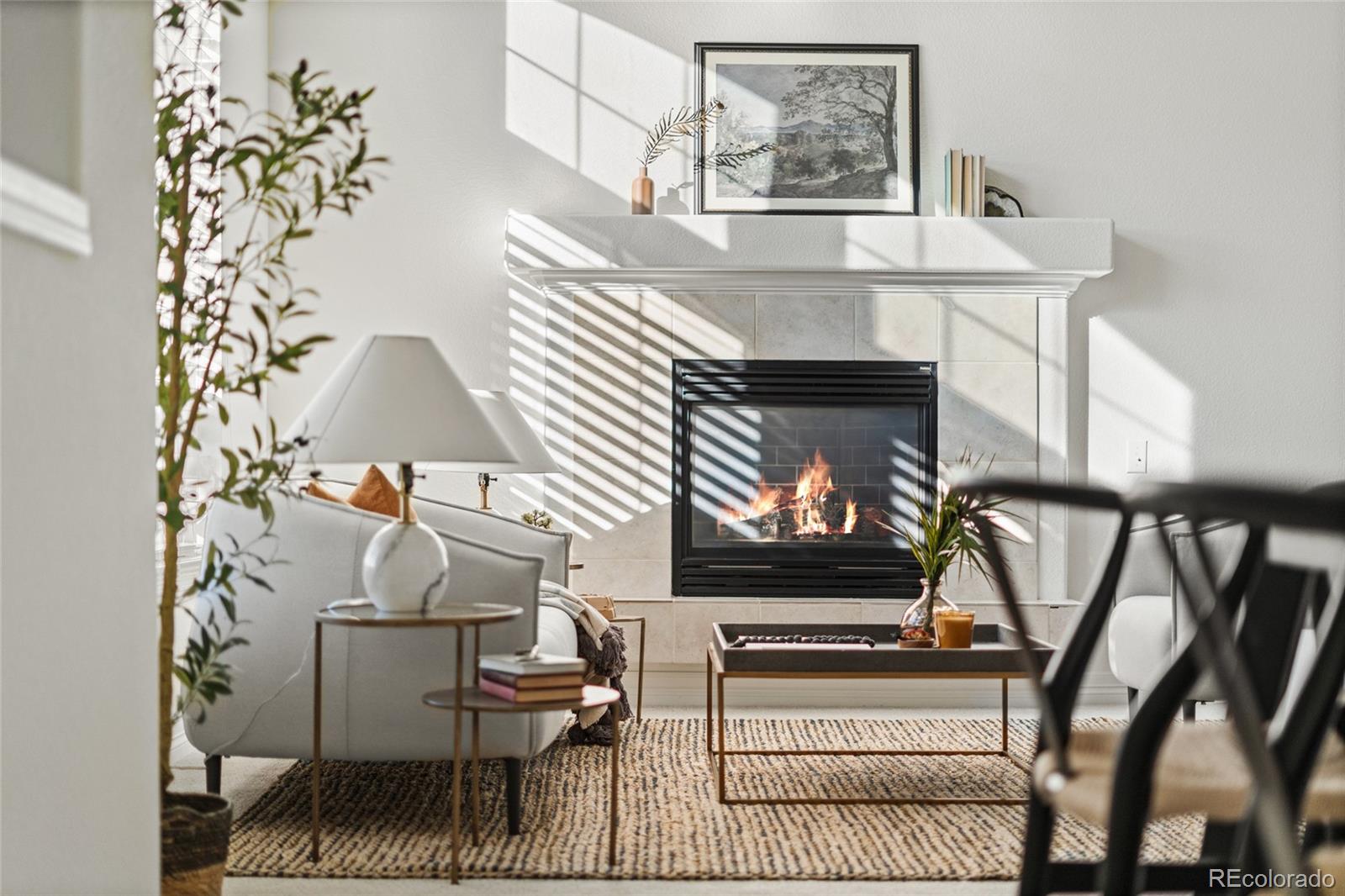 8880 Edinburgh Circle Highlands Ranch, CO 80129 - Photo 4 of 47