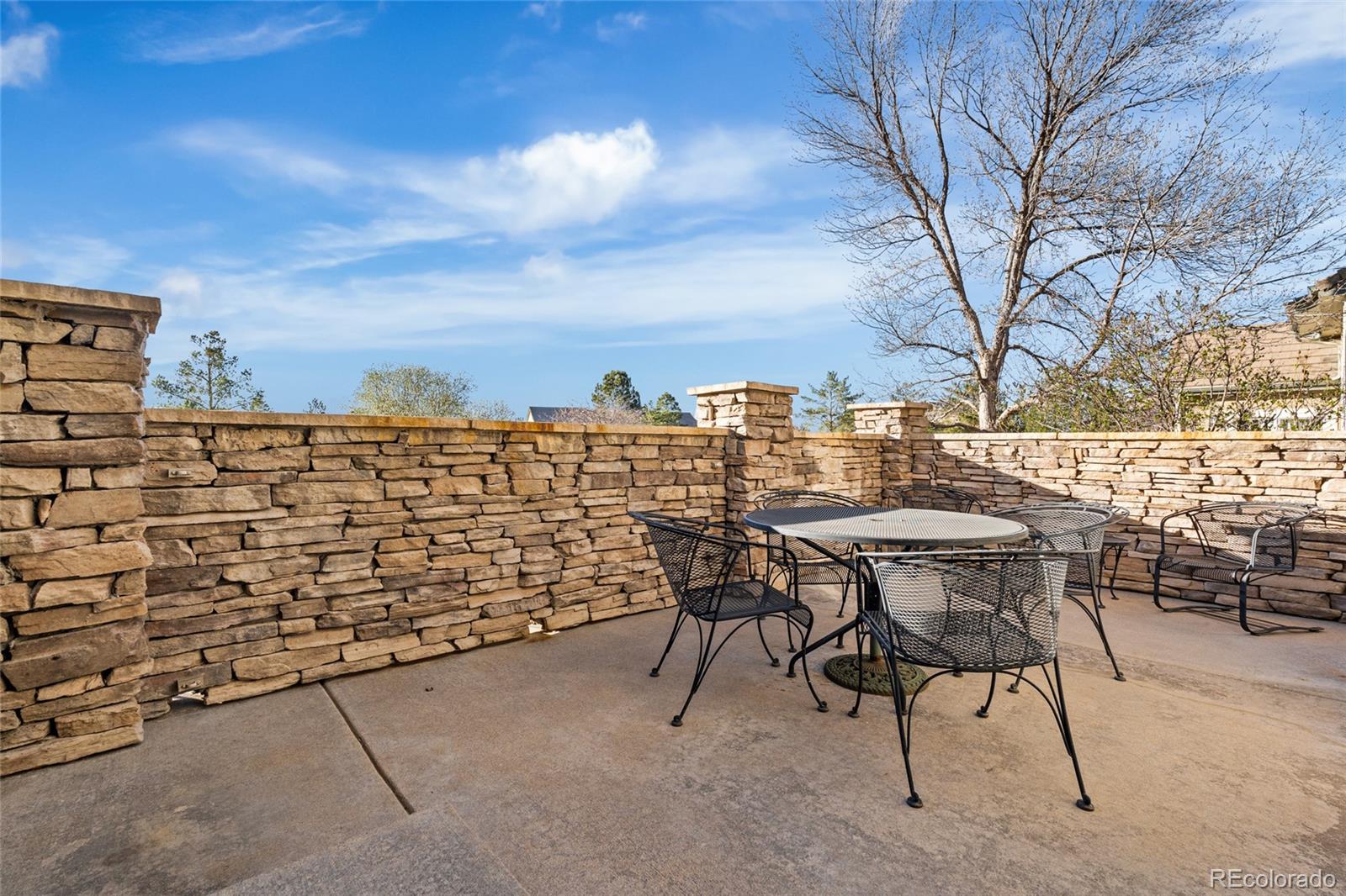 8880 Edinburgh Circle Highlands Ranch, CO 80129 - Photo 10 of 47