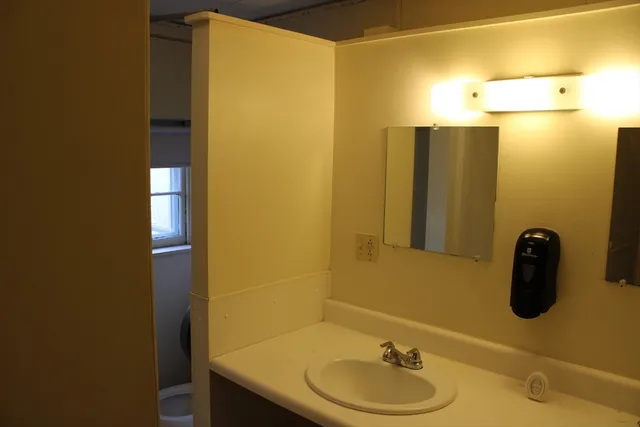 a bathroom with a sink a mirror and a shower