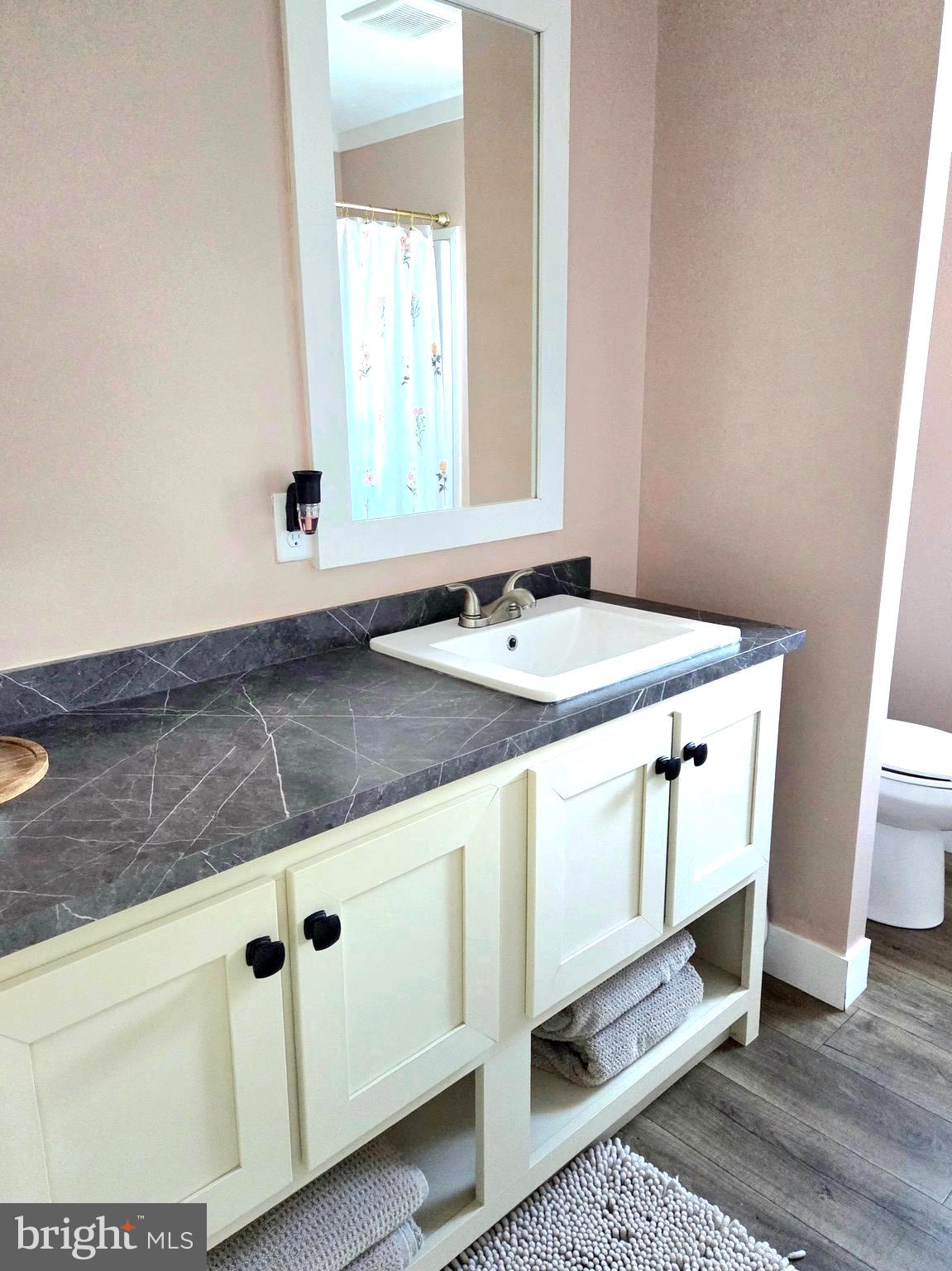 6924 Williamsburg Church Road Hurlock, MD 21643 - Photo 23 of 29 Bathroom 2-Full Bath