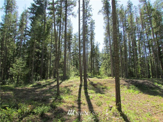 1 Fowler Creek Road Cle Elum, WA 98922 - Photo 2 of 2 Gallery Image 2