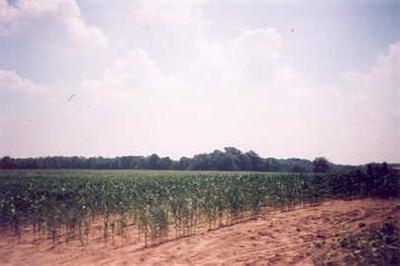 East Fenwick Road Sheridan, MI 48834 - Photo 1 of 1 Primary Photo