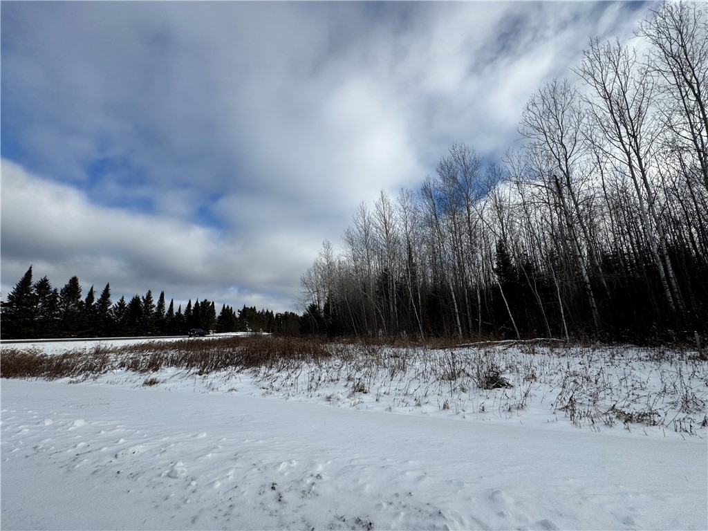 Lot 1 State Highway Winter, WI 54896 - Photo 4 of 7