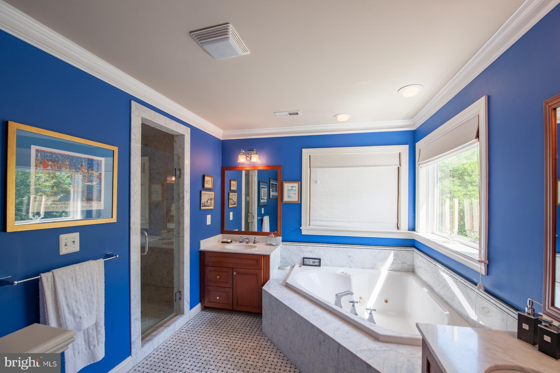 3437 Hidden River View Road Annapolis, MD 21403 - Photo 18 of 29 Bath (Master)
