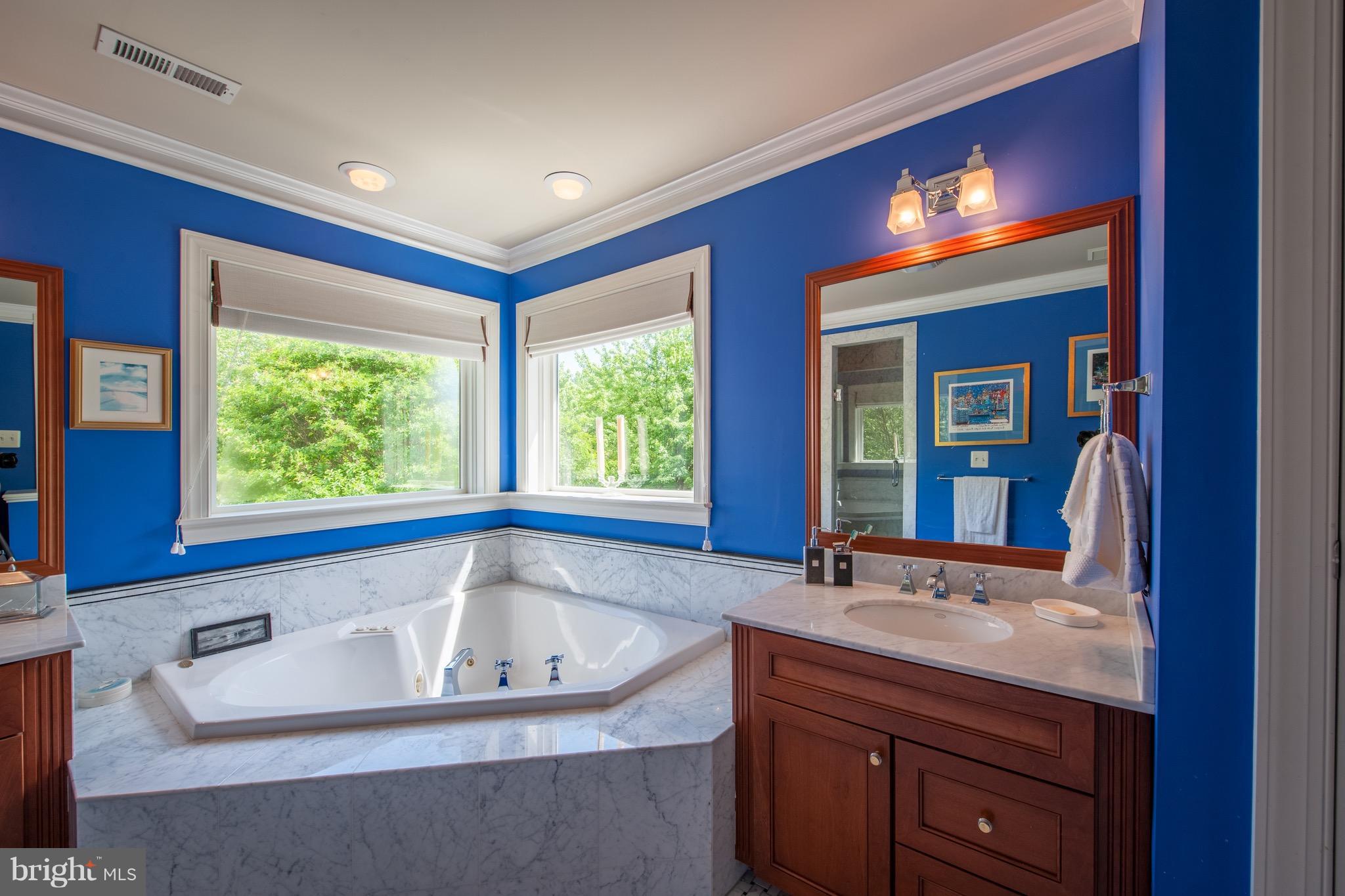 3437 Hidden River View Road Annapolis, MD 21403 - Photo 19 of 29 Bath (Master)