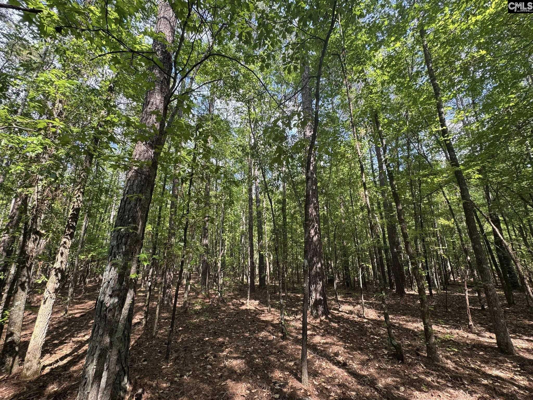 76 West W Highway Honea Path, SC 29654 - Photo 17 of 35