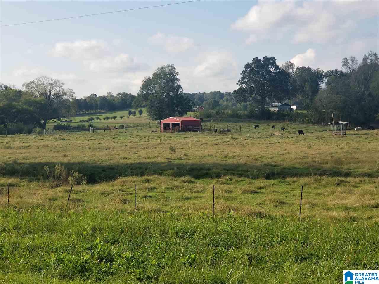 0 Highway 144, Unit 1 Ragland, AL 35131 - Photo 1 of 6