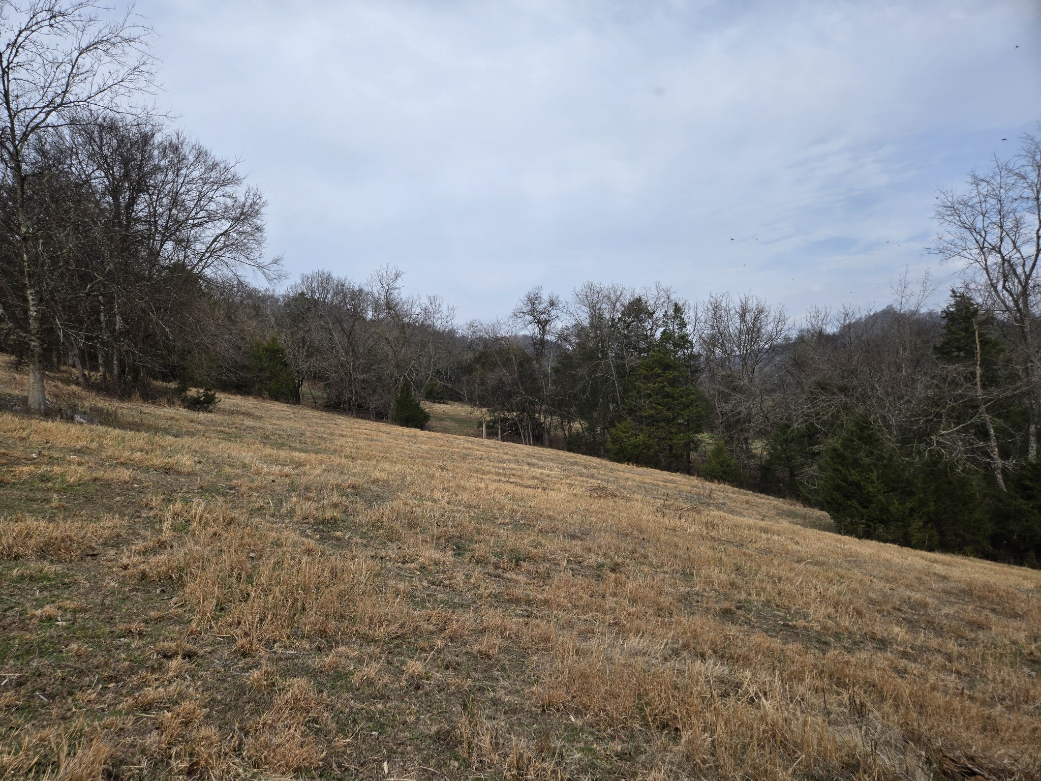 329 Cavender Road Woodbury, TN 37190 - Photo 24 of 37 Gallery Image 24