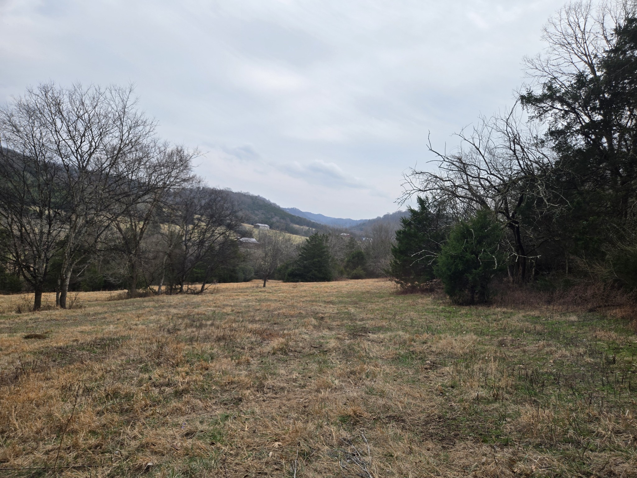 329 Cavender Road Woodbury, TN 37190 - Photo 25 of 37 Gallery Image 25
