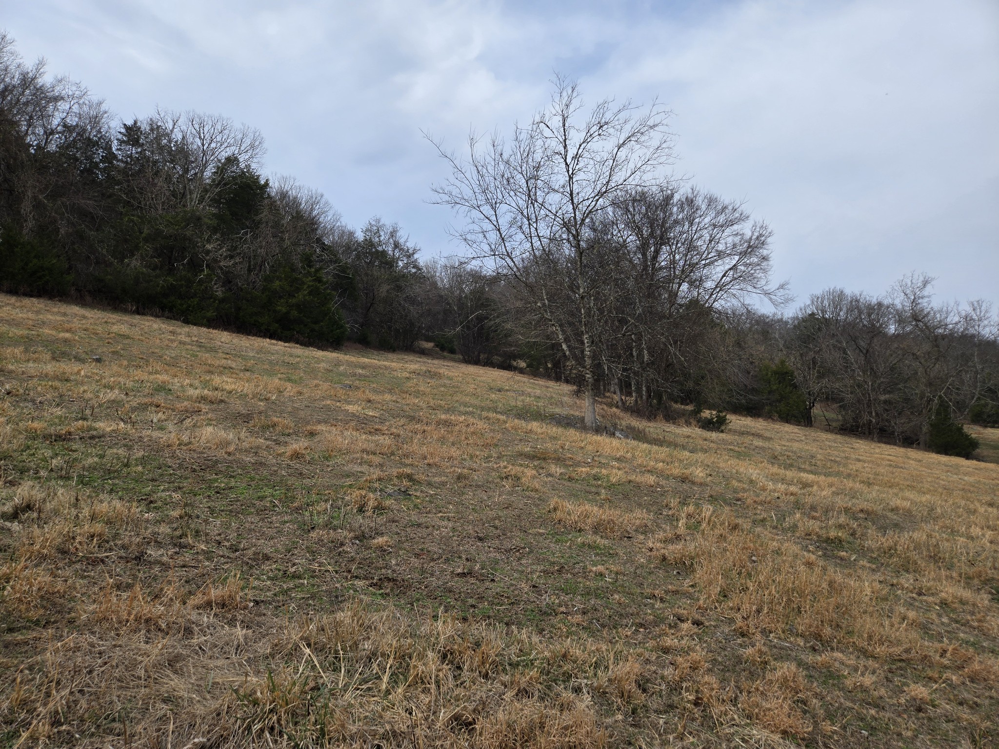 329 Cavender Road Woodbury, TN 37190 - Photo 27 of 37 Gallery Image 27