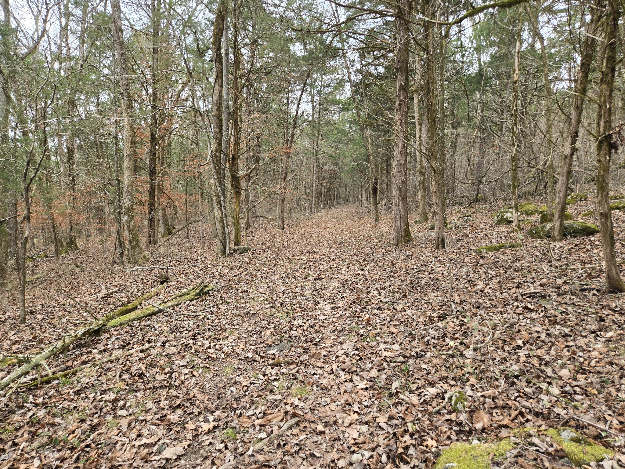 329 Cavender Road Woodbury, TN 37190 - Photo 29 of 37 Gallery Image 29
