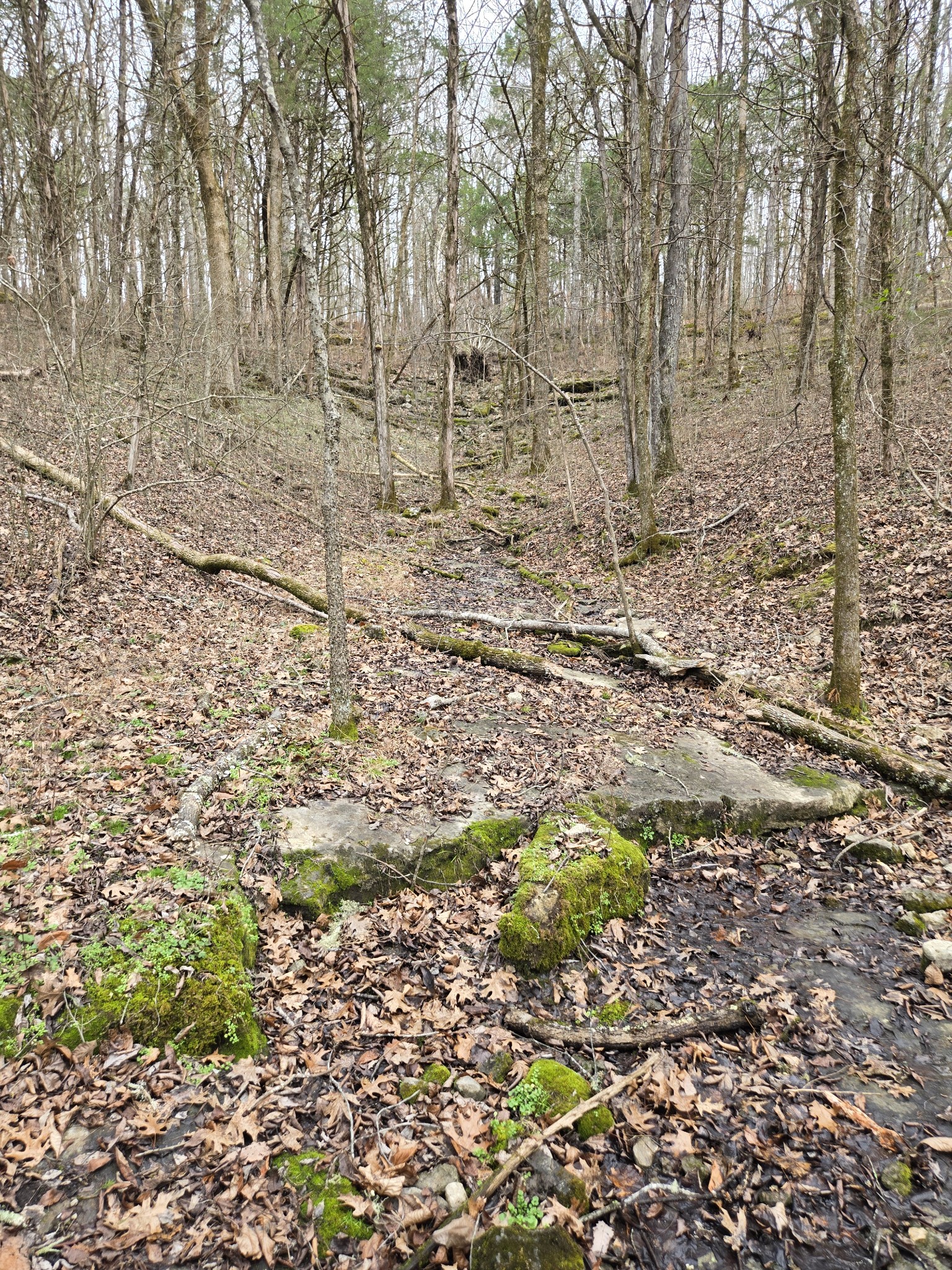 329 Cavender Road Woodbury, TN 37190 - Photo 33 of 37 Gallery Image 33