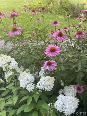 $899,900 | 1521 Tracy Drive, Spafford, NY 13152