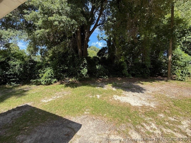 435 West Connecticut Avenue Southern Pines, NC 28387 - Photo 30 of 35 a view of yard with trees