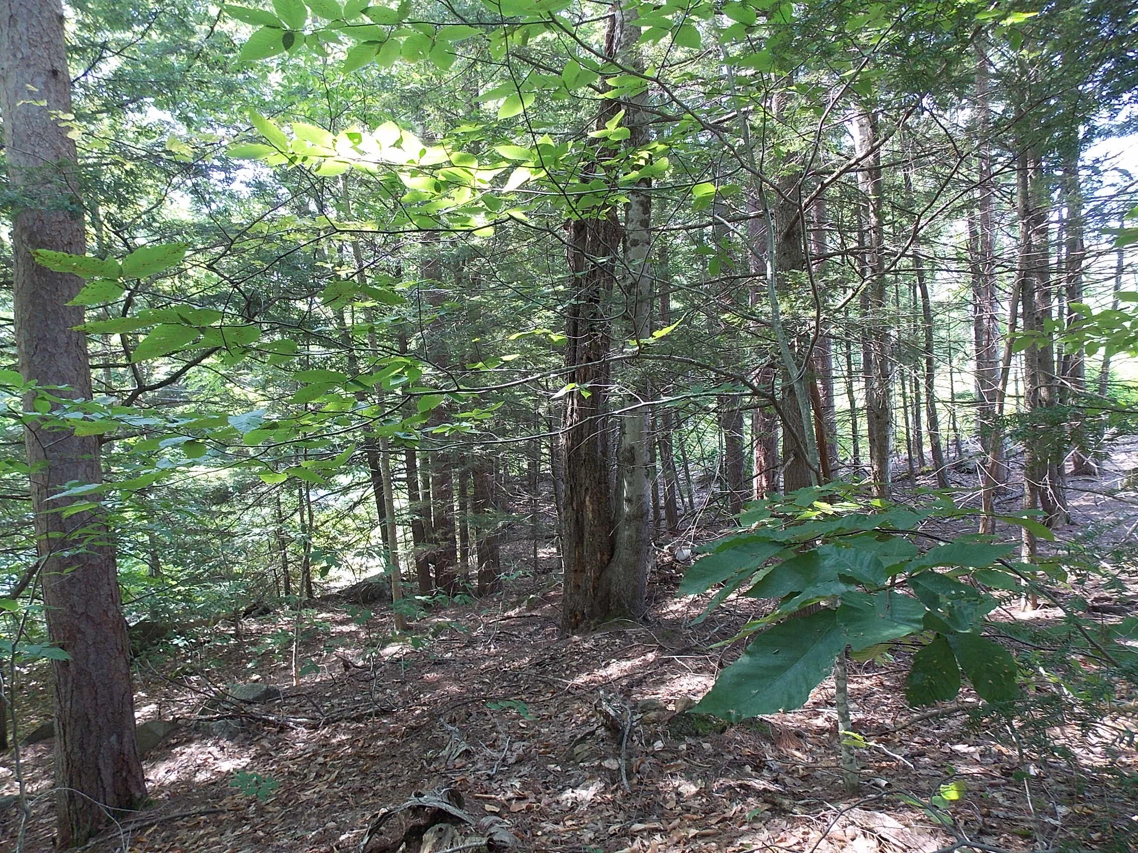 0 Walnut Brook Road Sanford, ME 04073 - Photo 15 of 19 DSCN9528