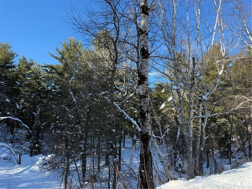 Lot 4-csm Kavanaugh Road Cable, WI 54821 - Photo 1 of 1