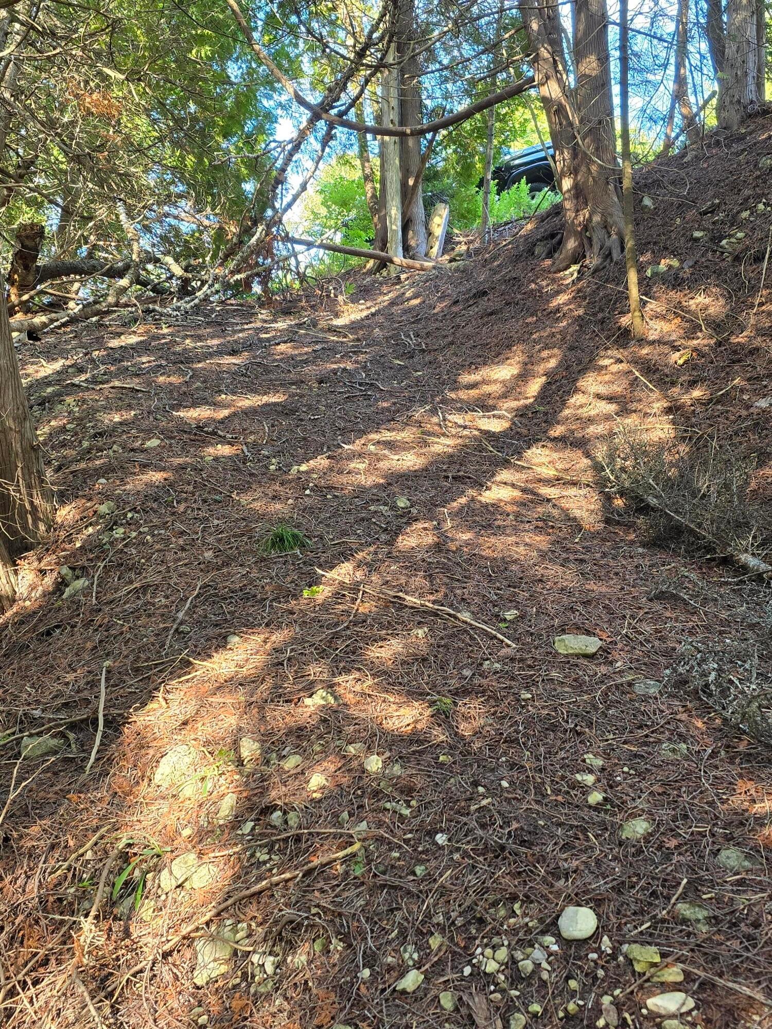 West Gros Cap Road St. Ignace, MI 49781 - Photo 3 of 48 The trail down