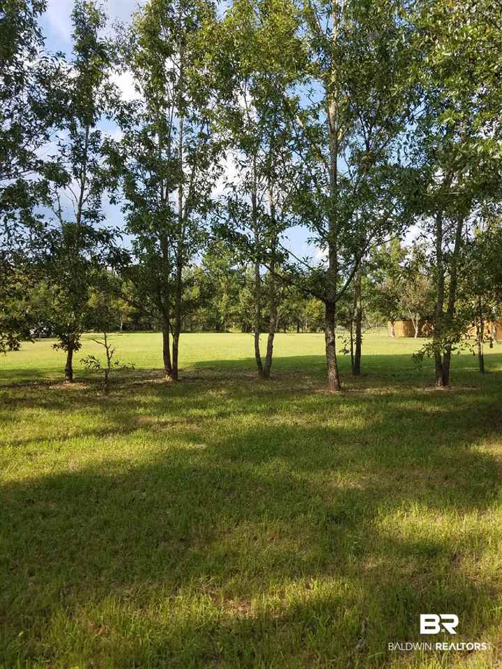 62 South County Road Robertsdale, AL 36567 - Photo 4 of 8