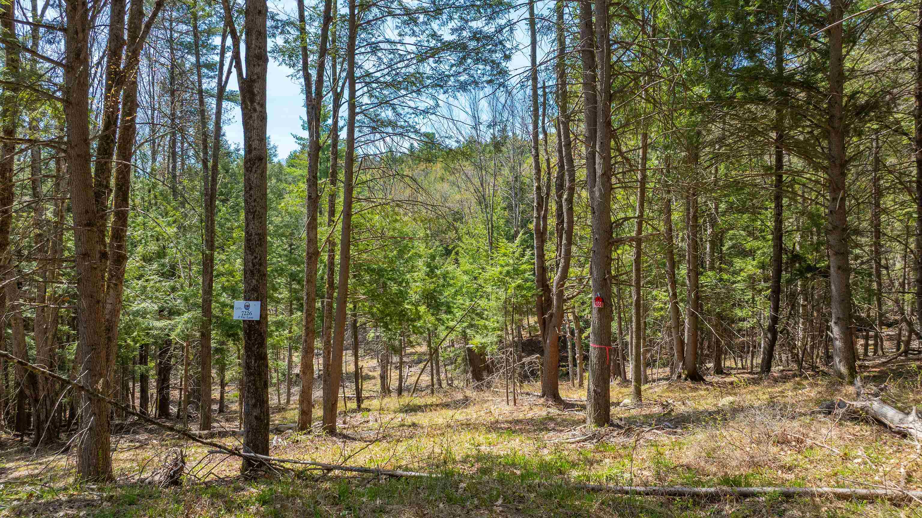 0 Fay Lane, Unit 7226 AND 7227 Quechee, VT 05059 - Photo 3 of 21