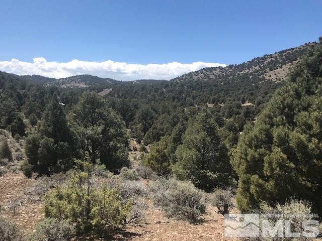 2150 Castle Peak Road, Unit 215 Reno, NV 89521 - Photo 3 of 9 a view of a mountain in the distance in a field