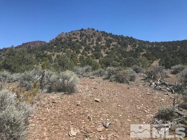 2150 Castle Peak Road, Unit 215 Reno, NV 89521 - Photo 4 of 9 a view of a dry yard