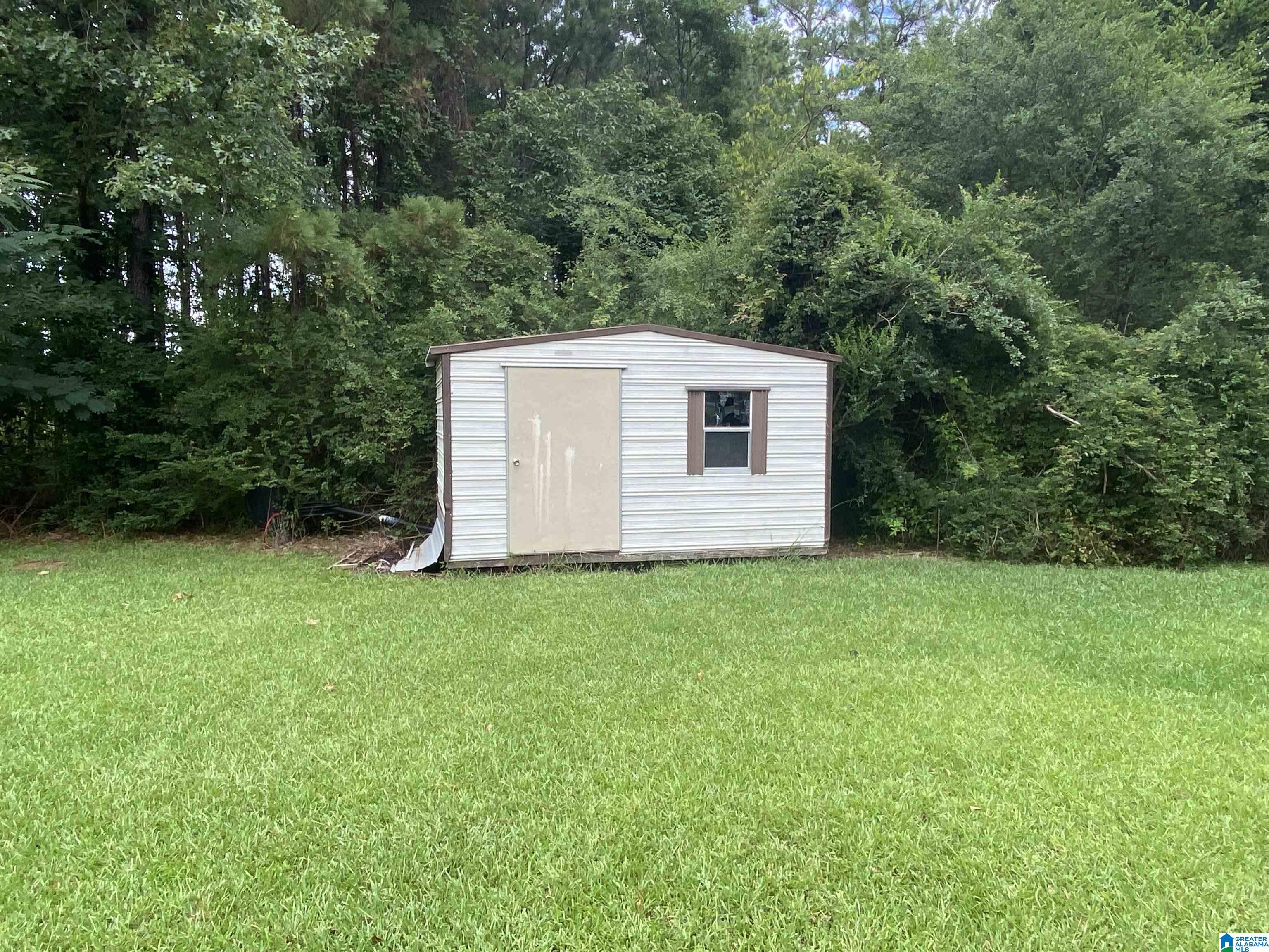 3494 Tomcat Road Piedmont, AL 36272 - Photo 5 of 18