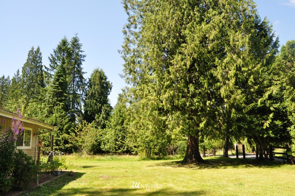 19635 Maxwell Road Southeast Maple Valley, WA 98038 - Photo 11 of 14