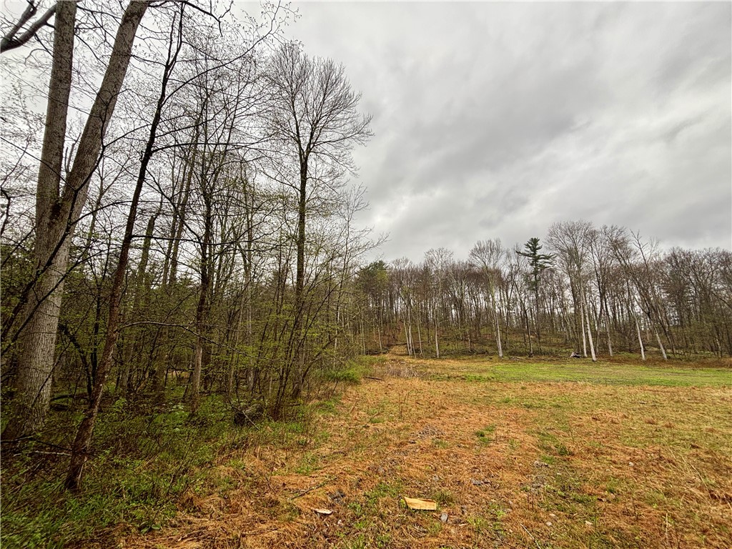 2093 Scott Road Erwin, NY 14858 - Photo 20 of 36 Gallery Image 20