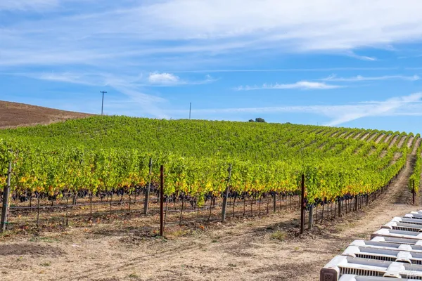 $1,350,000 | 3800 Jameson Canyon Road, Napa, CA 94559