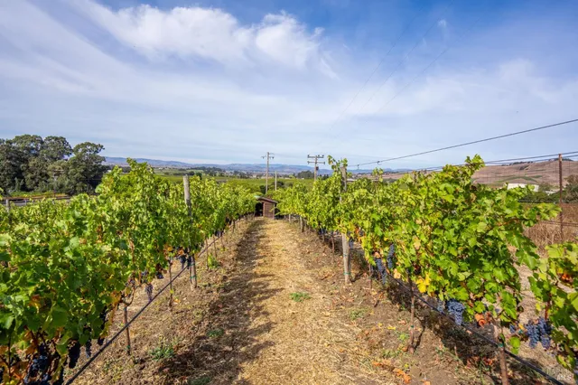 $1,790,000 | 3800 Jameson Canyon Road, Napa, CA 94559
