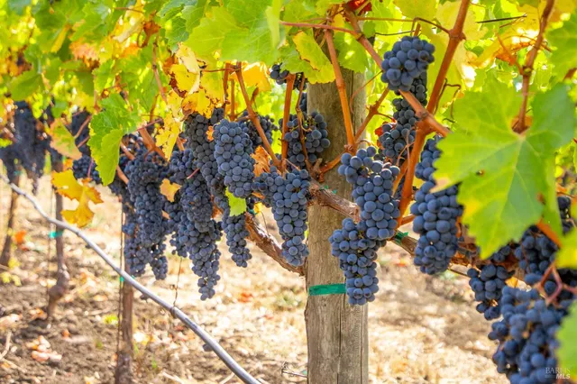 $1,790,000 | 3800 Jameson Canyon Road, Napa, CA 94559