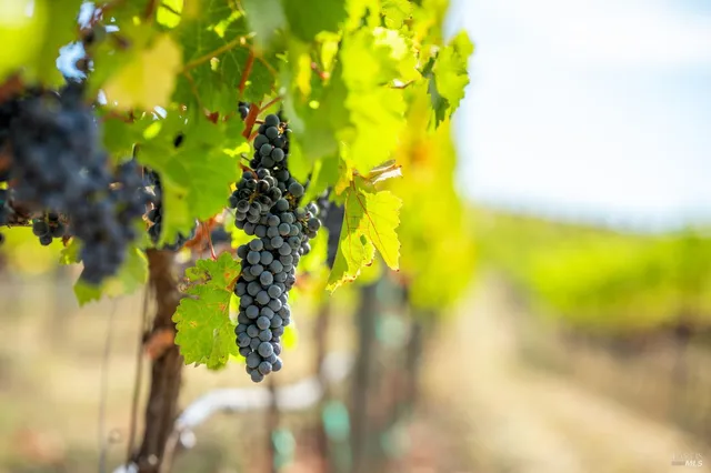 $1,790,000 | 3800 Jameson Canyon Road, Napa, CA 94559