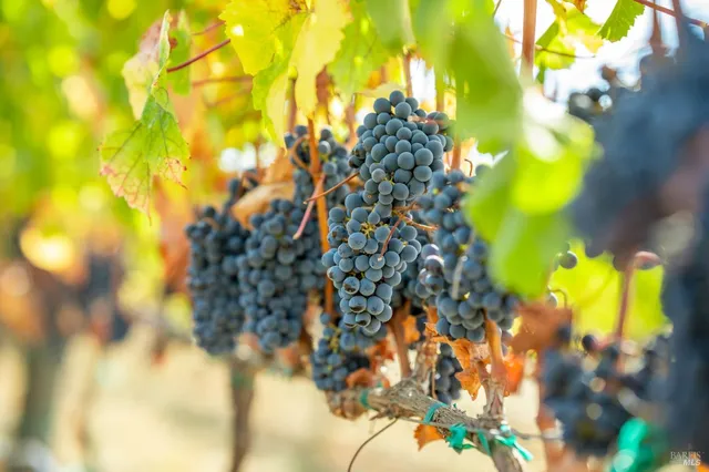 $1,790,000 | 3800 Jameson Canyon Road, Napa, CA 94559