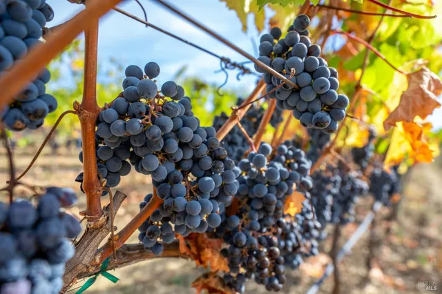 $1,790,000 | 3800 Jameson Canyon Road, Napa, CA 94559