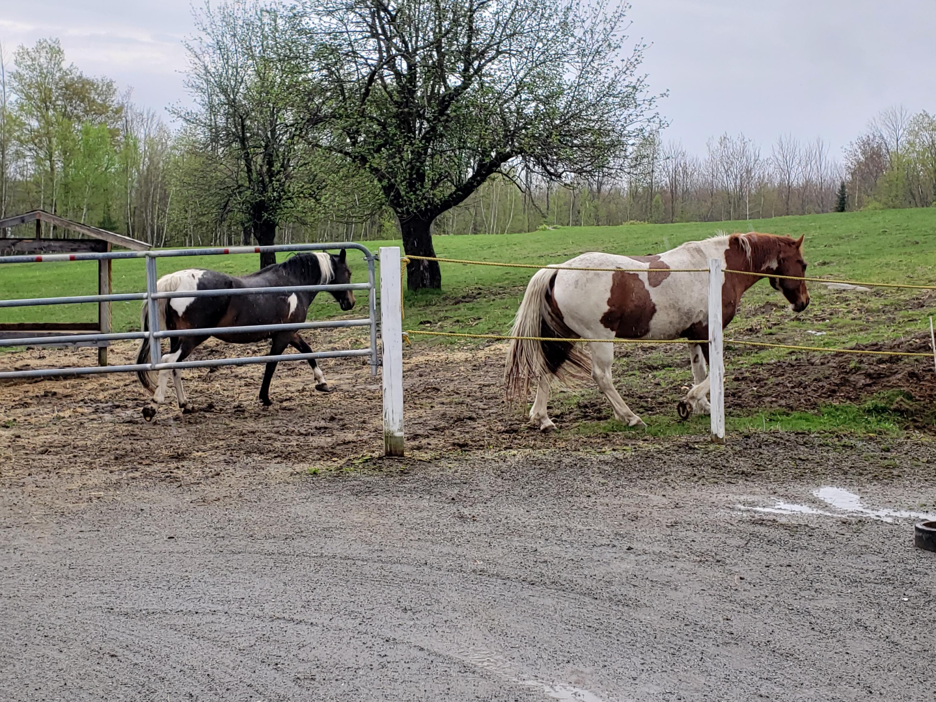 462 Town Farm Road Hartford, ME 04220 - Photo 26 of 50 20190520_121819 (1)