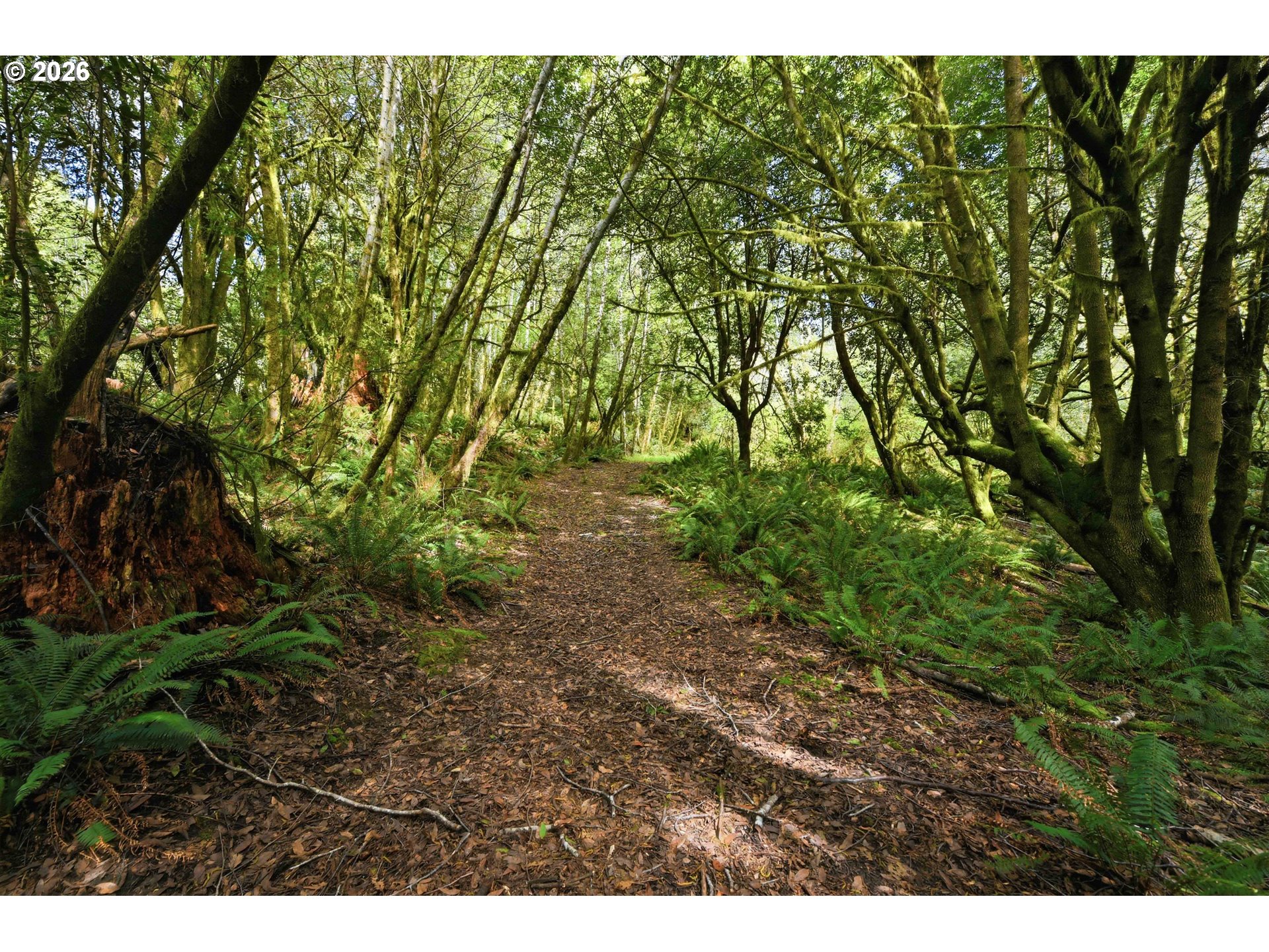 0 Cougar Road Coquille, OR 97423 - Photo 1 of 14