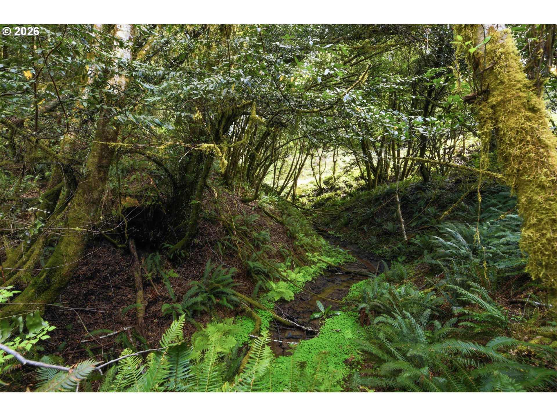 0 Cougar Road Coquille, OR 97423 - Photo 11 of 14