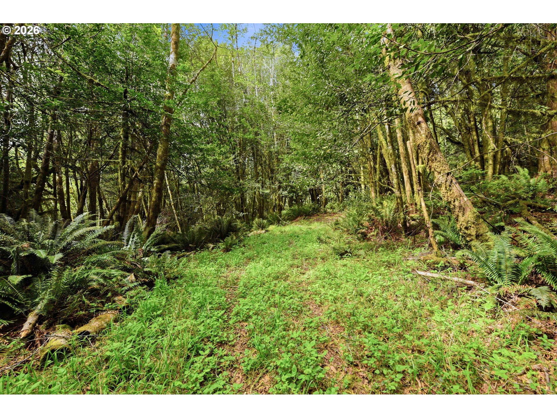 0 Cougar Road Coquille, OR 97423 - Photo 5 of 14